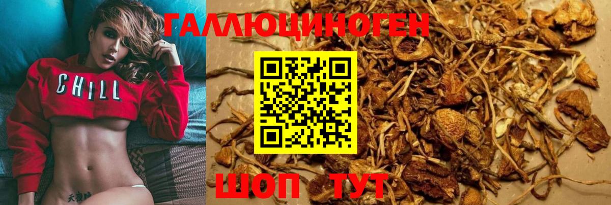 Псилоцибиновые грибы ЛСД Пыть-Ях